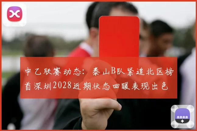 中乙联赛动态：泰山B队紧追北区榜首深圳2028近期状态回暖表现出色