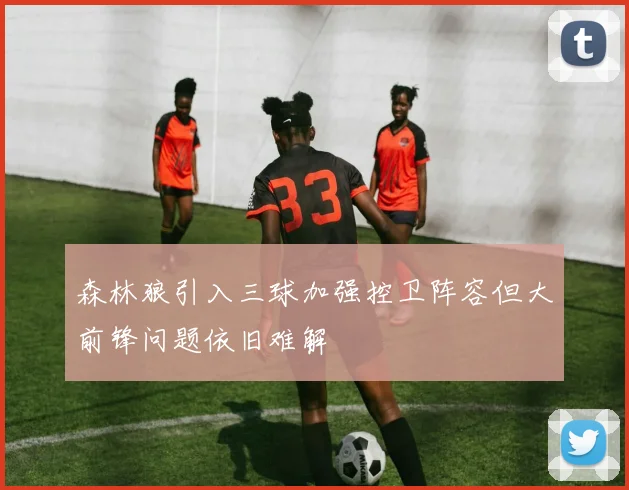 森林狼引入三球加强控卫阵容但大前锋问题依旧难解